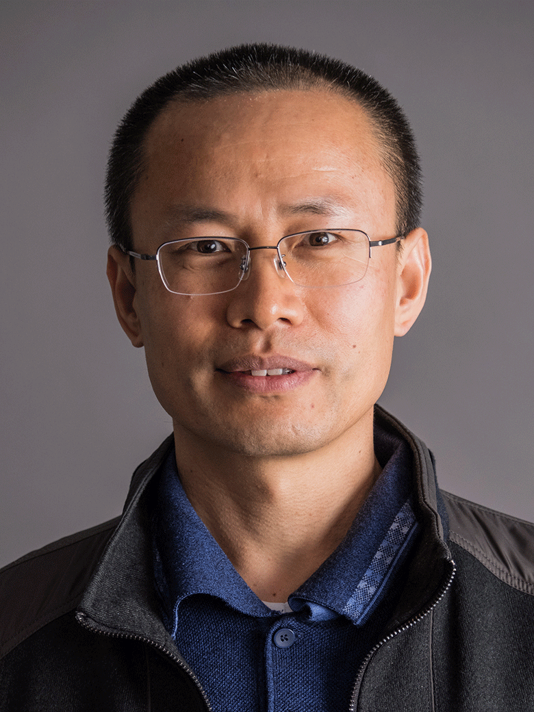 Prof Z Wang